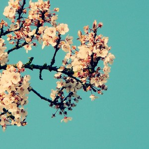 张萱伦敦写真集无删减版视频下载
